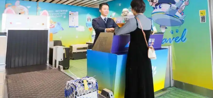 携宠乘机走入常态化！十余航司开放“宠物进客舱”