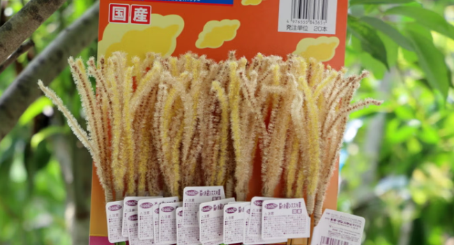 海多格是哪里的品牌