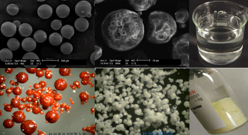 生物科技公司是做什么的？浙江惠嘉以硬核科技驱动生命健康未来
