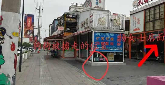 黑色柴犬凌晨遭一男子用弩射击后掳走，嫌疑人已被抓获