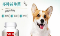 宠物益生菌怎么吃才有效？法国拉曼布拉迪酵母益生菌给你答案