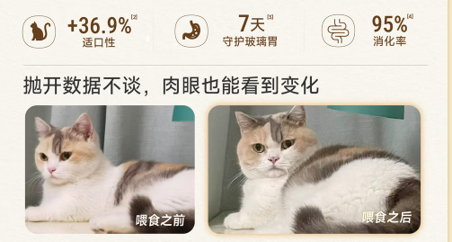 真可凡猫粮和诚实一口哪个好 真可凡猫粮和诚实一口哪个好
