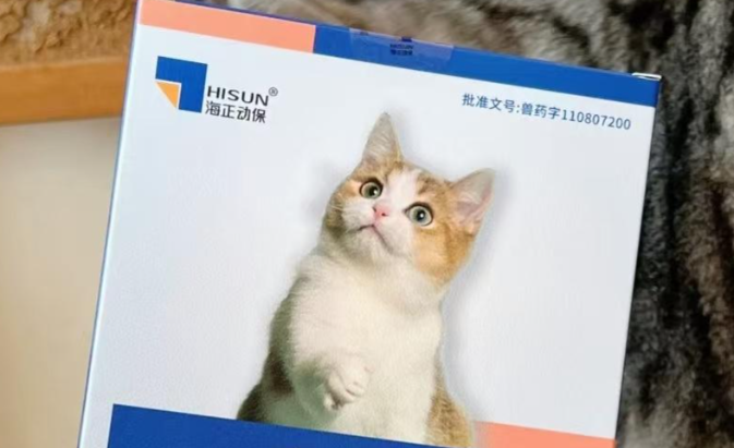 猫咪泌尿反复发作怎么办?雅泌适助力重建尿路防御屏障 猫咪泌尿反复发作怎么办?雅泌适助力重建尿路防御屏障