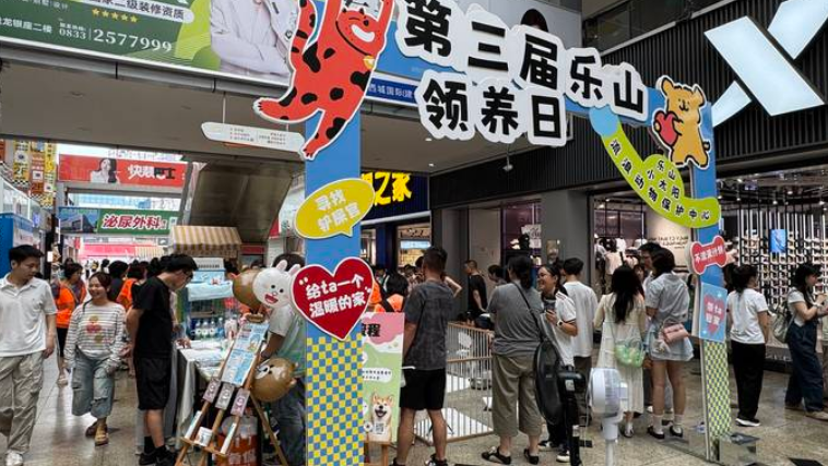 暖心！以领养代替购买，乐山这群“毛孩子”找到温暖新家