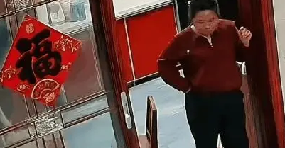 狗狗咬坏地毯被教训，离家出走，要道歉才肯回家