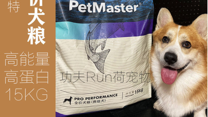 宠物小镇狗粮最建议买吗
