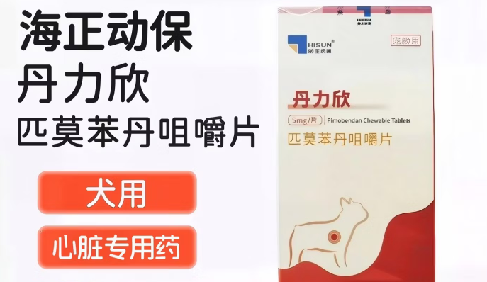 宠物心脏病药品有哪些？丹力欣匹莫苯丹咀嚼片为何脱颖而出