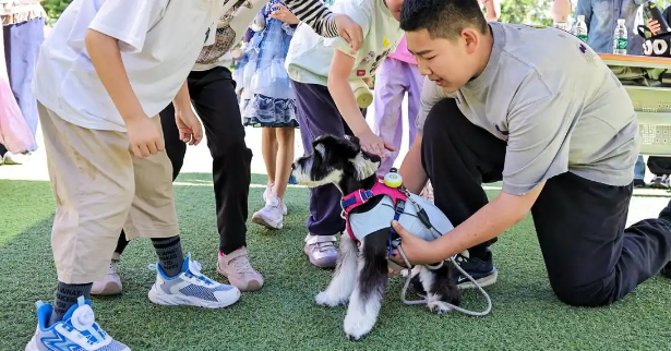 校园变萌宠乐园！学生携自家萌宠空降学校宠物节