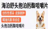 宠物抗感染怎么选？海泊舒头孢泊肟酯咀嚼片专业守护毛孩子