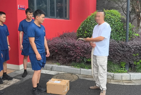暖心接力!街头偶遇走失白蛇,众人联手帮“白娘子”寻主人 暖心接力!街头偶遇走失白蛇,众人联手帮“白娘子”寻主人