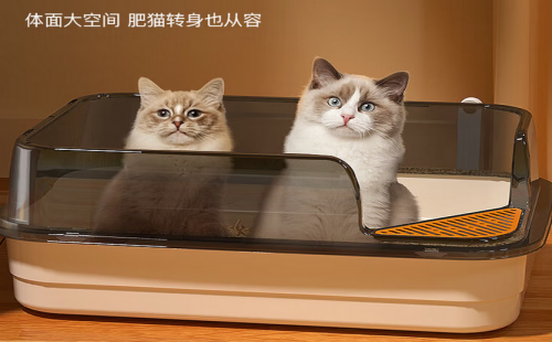 逄小宠