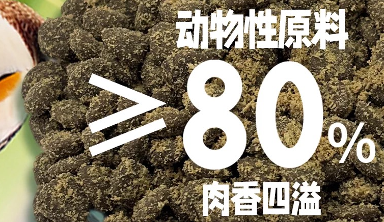 Promise的产品合格吗