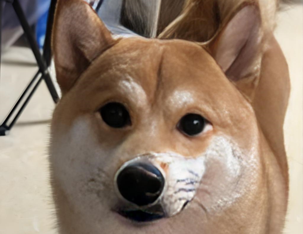 狗狗可以吃红薯皮吗