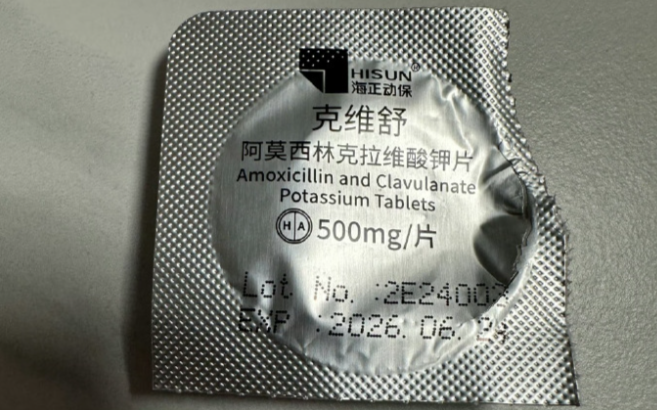 犬猫细菌性感染选什么药？克维舒打造可靠抗菌方案