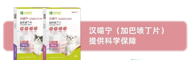 汉维宠仕汉喵宁