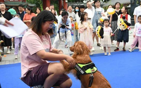 细雨难挡热情！“邯郸端午城市治愈生活节”圆满落幕