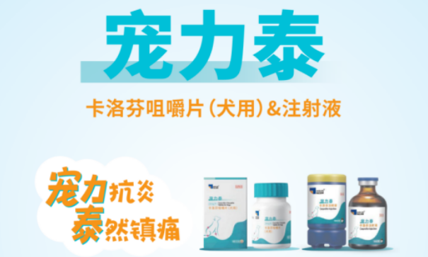 宠物药推荐宠力泰，犬用镇痛抗炎的双剂型解决方案！