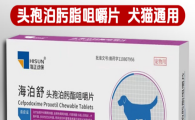 犬猫感染用什么药安全？海泊舒头孢泊肟酯咀嚼片专业又温和