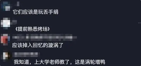 鸭子撞鬼了？湖南男子养的鸭群集体疯狂转圈