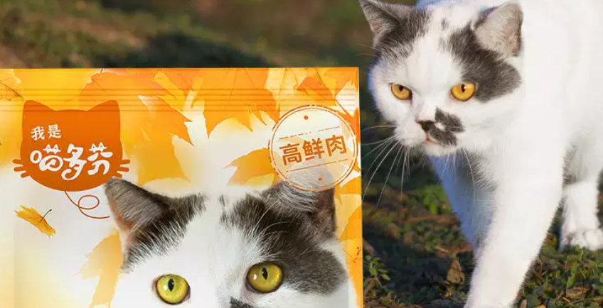 喵多芬是高端猫粮吗