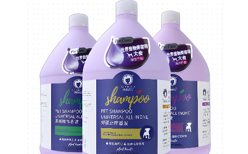 雪貂大师