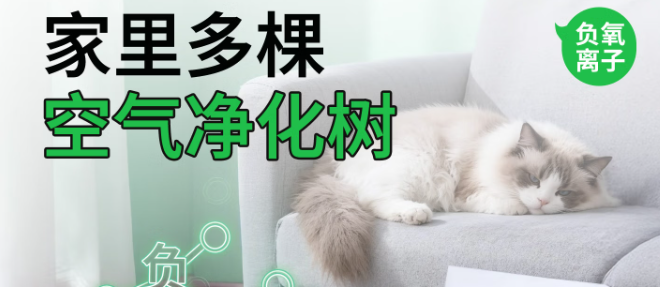 乖主人负离子除臭天然钠基矿物猫砂怎么样?养宠家庭除臭首选 乖主人负离子除臭天然钠基矿物猫砂怎么样?养宠家庭除臭首选