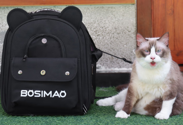 猫包买哪种比较好?有了BOSIMAO猫包20斤肥崽也能横着走! 猫包买哪种比较好?有了BOSIMAO猫包20斤肥崽也能横着走!