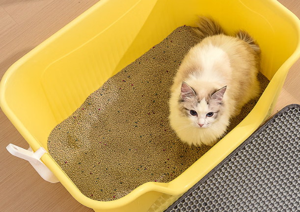 猫砂盆选什么样的好?妙昂大空间猫砂盆,胖猫如厕不再憋屈 猫砂盆选什么样的好?妙昂大空间猫砂盆,胖猫如厕不再憋屈