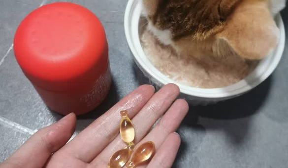 宠物毛发护理产品推荐喜孚HAPPMOR鱼油，养出亮泽好皮毛
