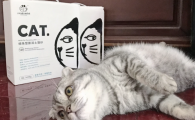 高性价比猫砂推荐酷特猫砂，大容量更除臭，多猫家庭优选