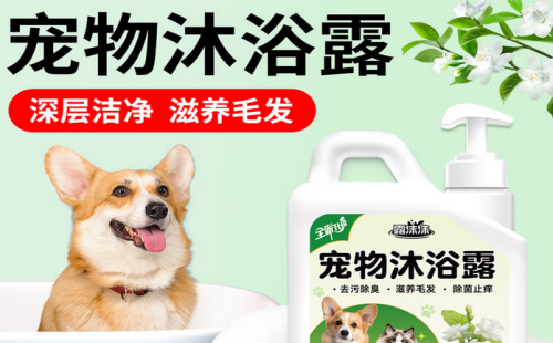 露沫沫
