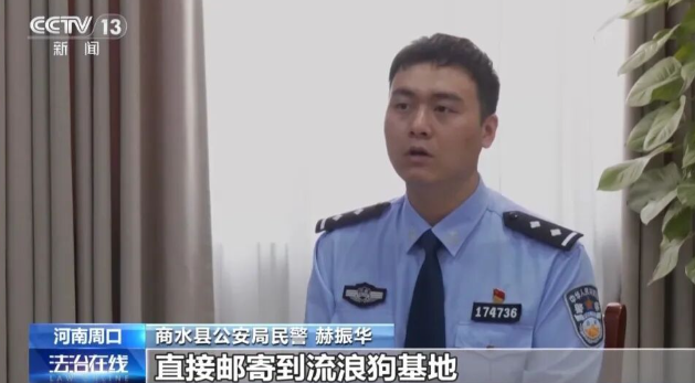诈骗团伙通过虐狗、摆拍炮制救助剧本，骗取1500多人250余万元