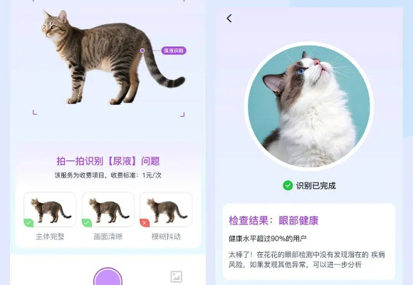 夜间宠物看病怎么办？宠有灵犀为独居银发族点亮深夜急诊灯塔