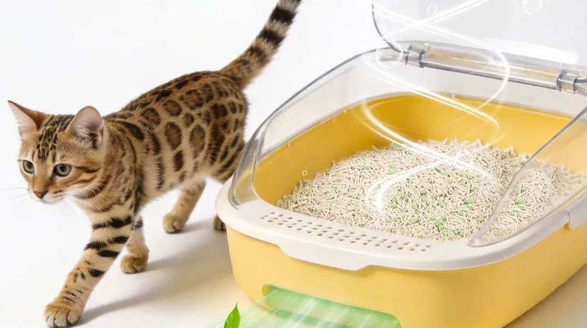 猫砂品牌推荐佩佩猫大师系列抑菌猫砂,养宠家庭洁净新选择 猫砂品牌推荐佩佩猫大师系列抑菌猫砂,养宠家庭洁净新选择
