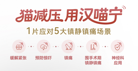 汉维宠仕汉喵宁有用吗