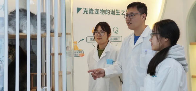 赋能“它经济”！青岛农业大学助力宠物产业发展！