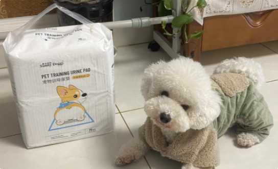 阳光狗狗尿垫好用吗