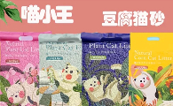 猫砂品牌有哪些？喵小王豆腐猫砂重塑居家养猫体验