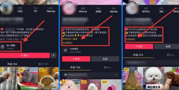 垂直宠物MCN标杆：色彩萌宠，打造多方共赢内容商业生态