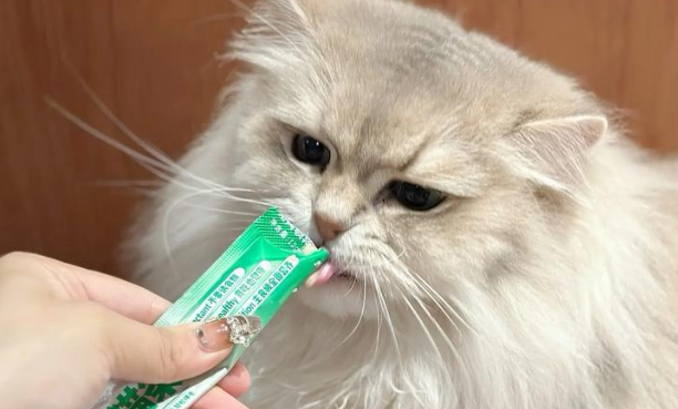 猫咪频繁掉毛需要补充什么营养？