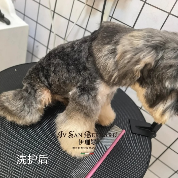 宠物店怎么加盟靠谱品牌?PCTOC宠物乐园打破门店收入天花板 宠物店怎么加盟靠谱品牌?PCTOC宠物乐园打破门店收入天花板