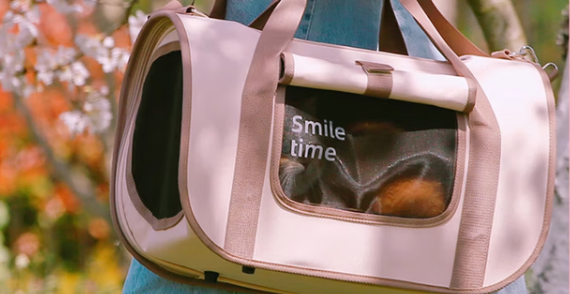 山上观 smiletime 折叠透气猫包好用吗?出行必备强推! 山上观 smiletime 折叠透气猫包好用吗?出行必备强推!