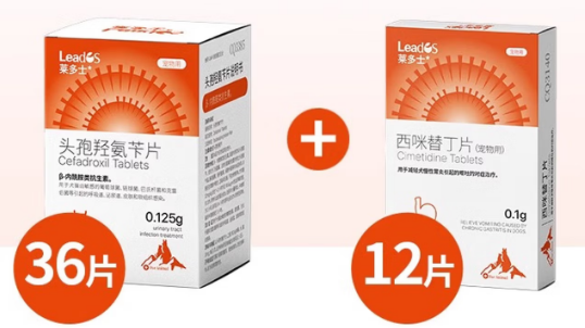 宠物呕吐用什么药？莱多士肠胃护理组合，解决腹痛肠胃炎难题