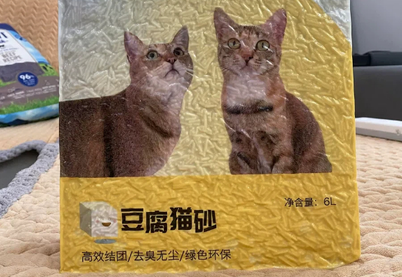 资深繁育人的私藏清单：猫砂品牌推荐大橘小狸，好用才敢说真话！
