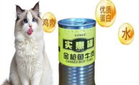 派派海家族猫罐头开封后能放多久