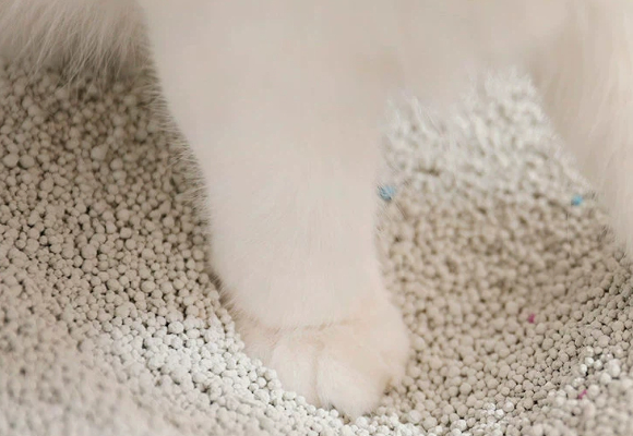猫砂哪种好用又实惠？多猫家庭精打细算后的明智之选：团先森猫砂