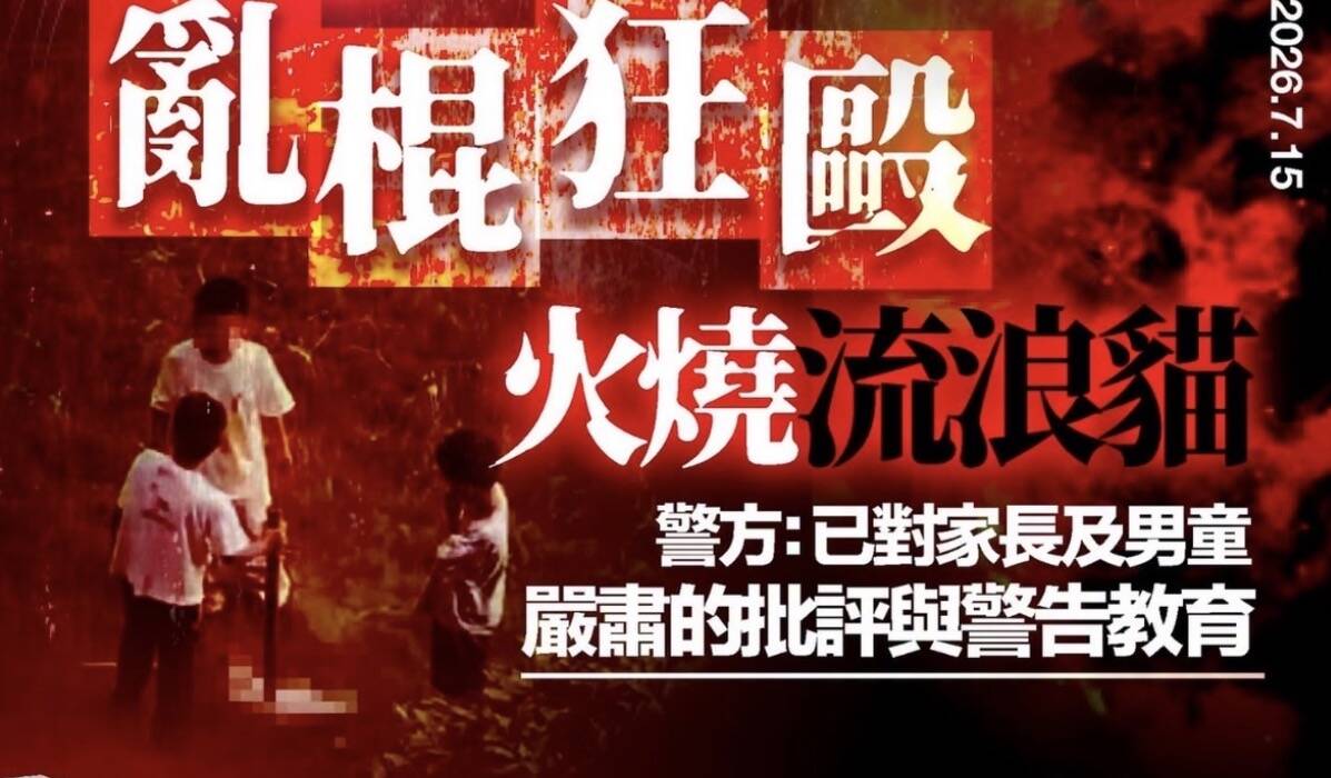 痛心！江苏三名男孩虐猫致死，警方介入开展教育引导