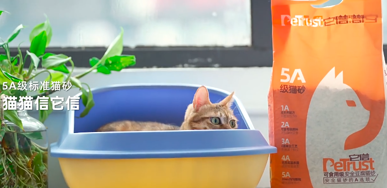猫砂怎么选不踩坑？认准它信就够了