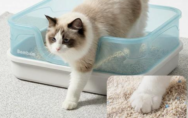哪种猫砂长效除味不刺鼻？Bembam猫砂适配多猫家庭