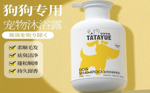 它艾它悦